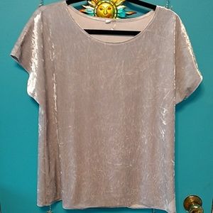 EUC SILVER VELVET SHORT SLEEVE TOP